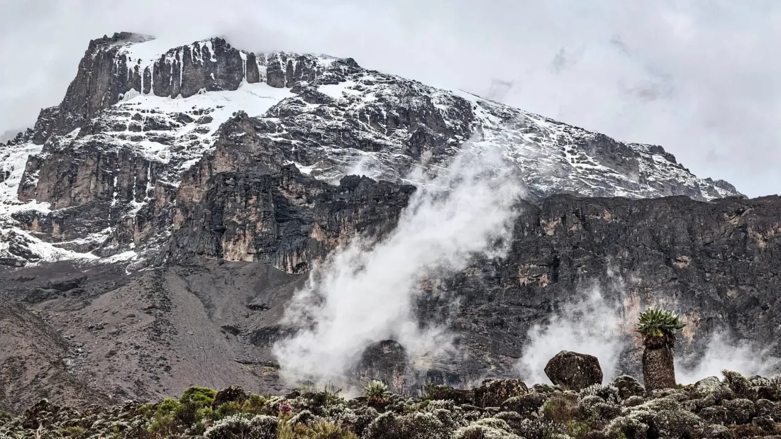 Kilimanjaro Marangu Route: 5-Day Climb