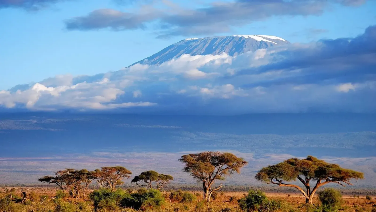 Kilimanjaro Lemosho Route: 8-Day Climb