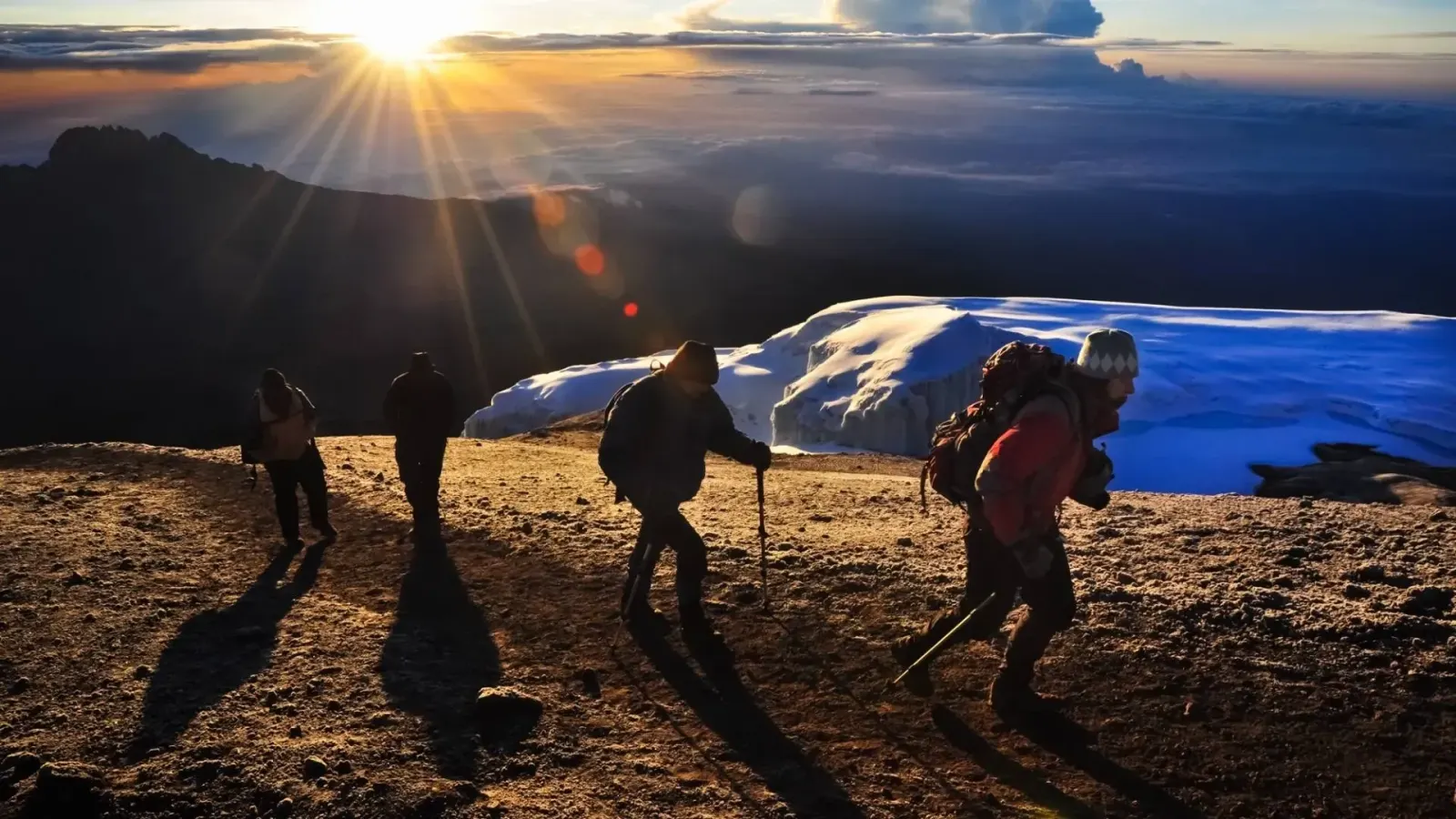 Kilimanjaro Northern Circuit: 9-Day Climb