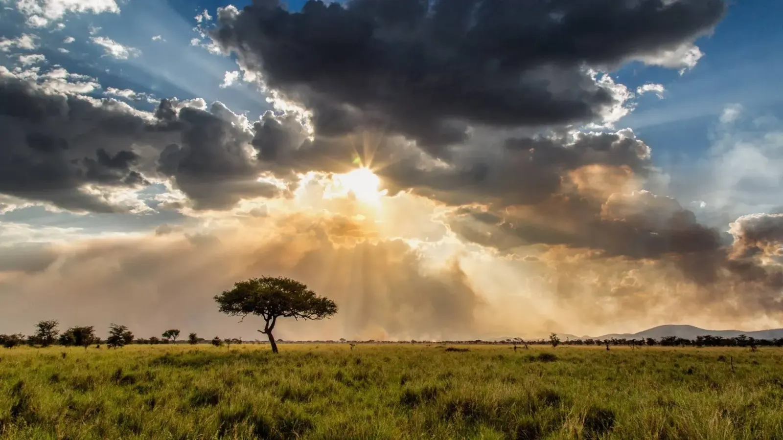 15-Day Tanzania & Zanzibar Holiday