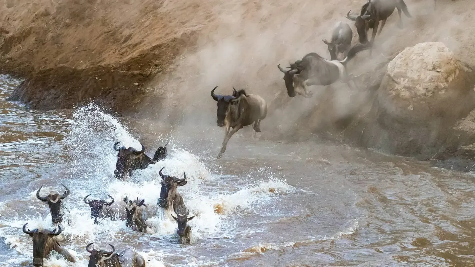 9-Day Migration Safari: Mara River Crossings
