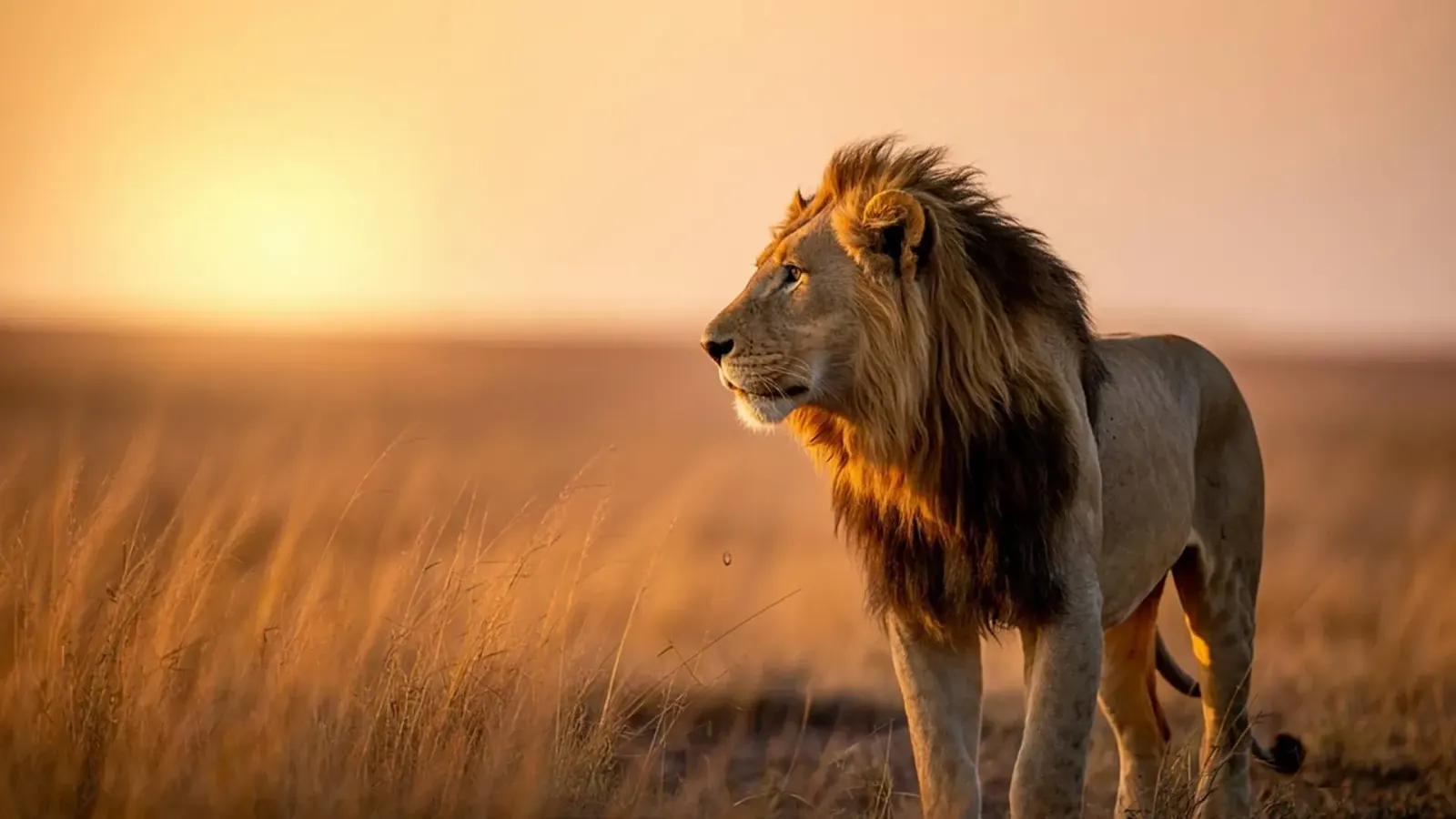 18-Day Tanzania Safari & Zanzibar Holiday