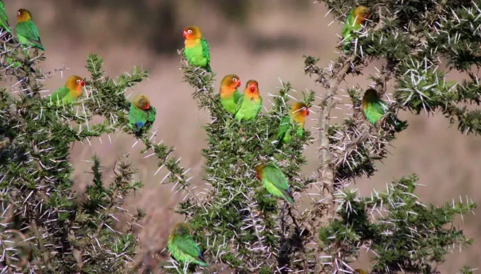 4-Day Nyerere National Park Safari from Dar es Salaam