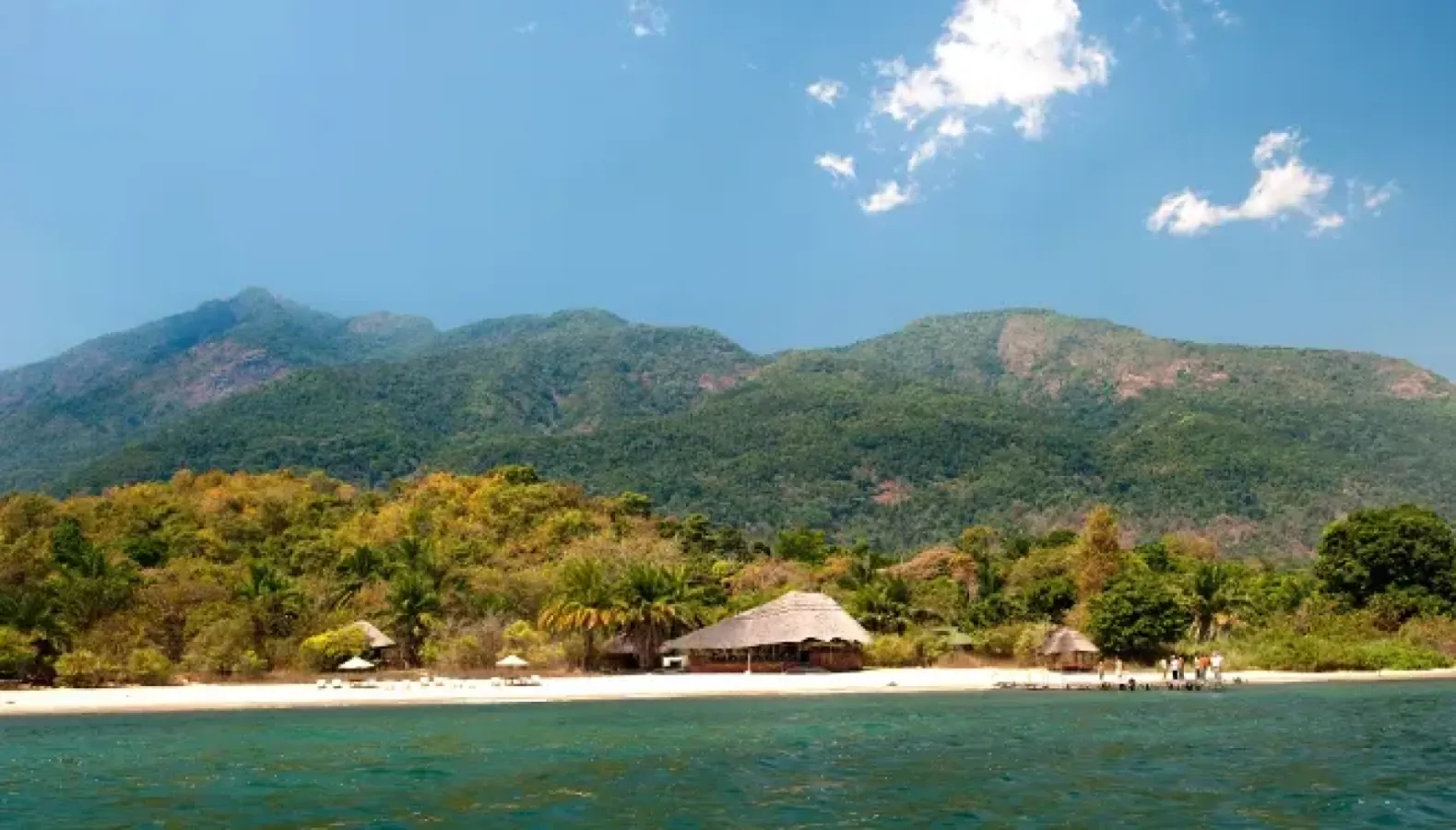 8-Day Chimpanzee Safari: Gombe Stream & Mahale Mountains