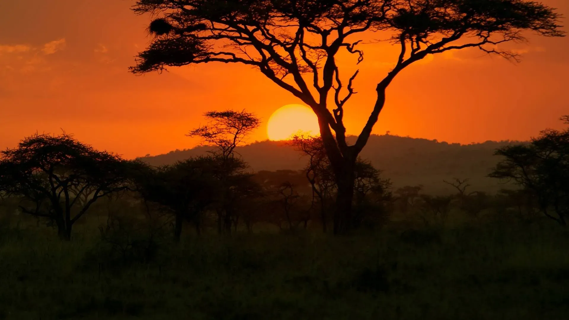 Namibia
