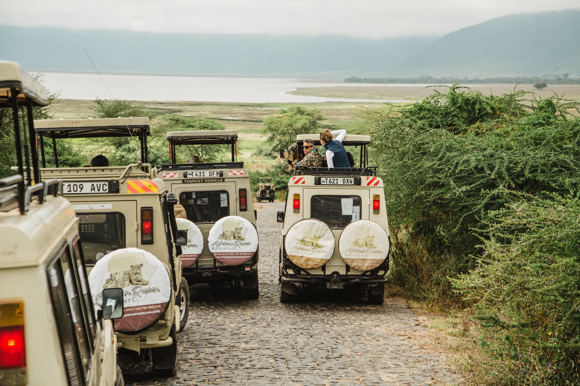 African Queen Adventures safari vehicles on a game drive in the Ngorongoro Crater