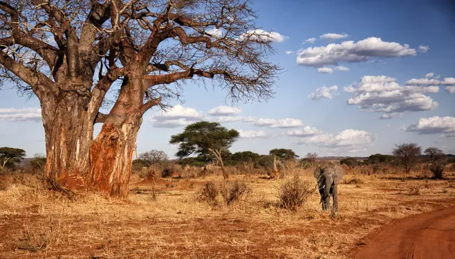 Tarangire National Park