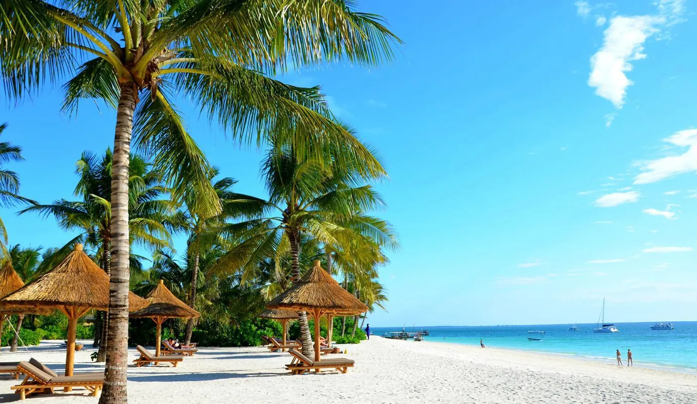 Beach & Island