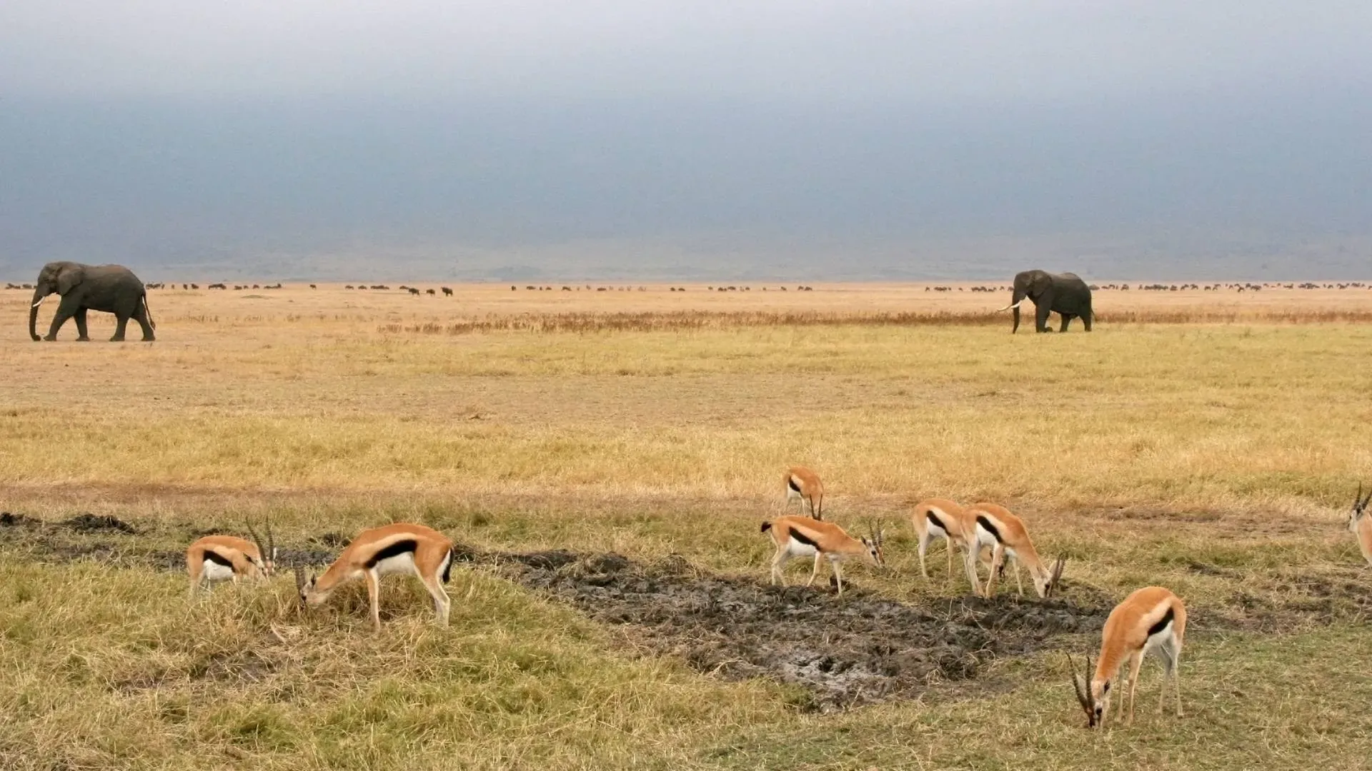 Botswana