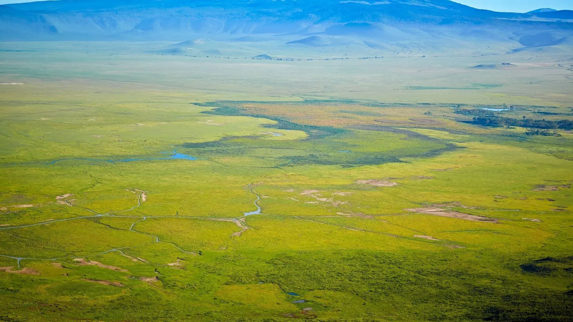 Green plains and wetlands seen from high ground