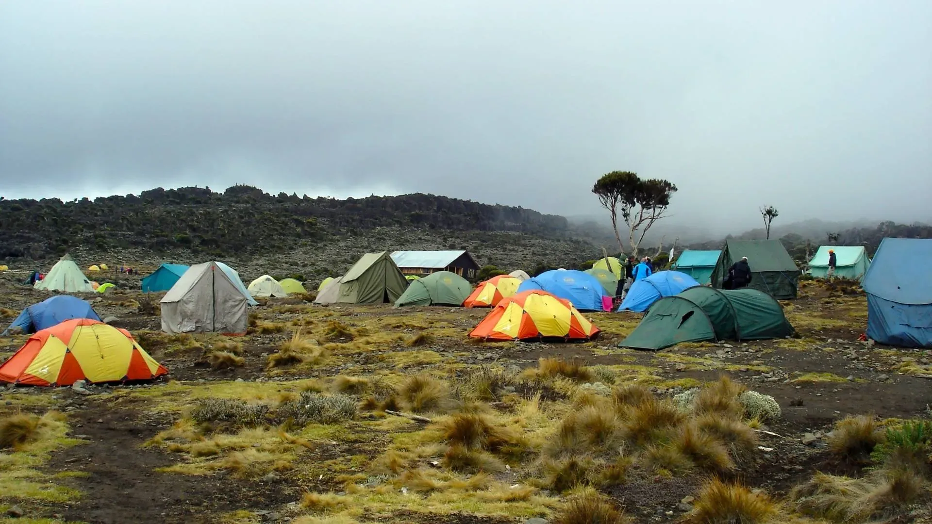 Mountain Trekking