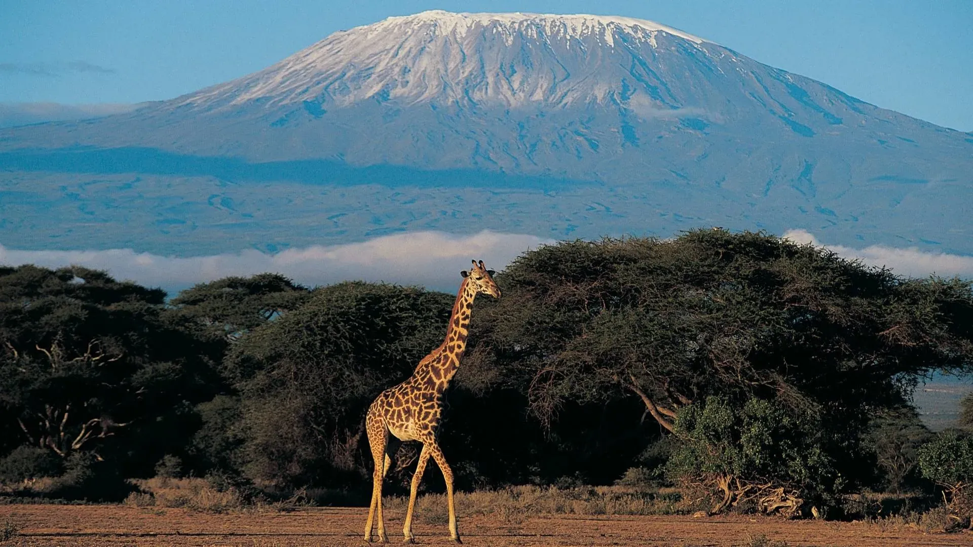 Machame Route, Mount Kilimanjaro