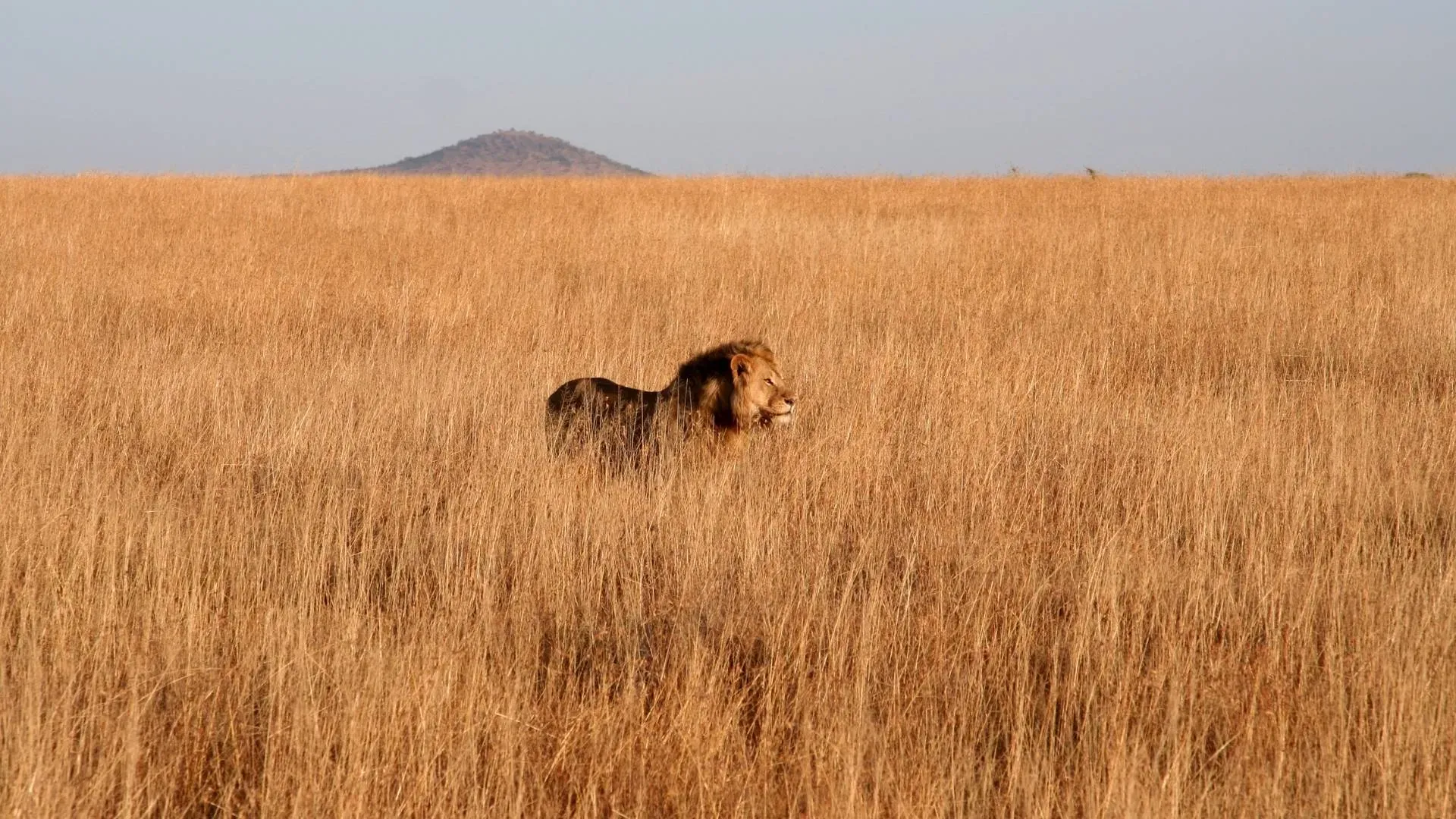 Serengeti National Park