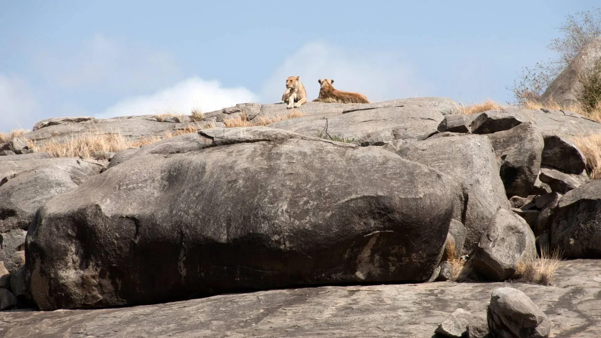 Central Serengeti