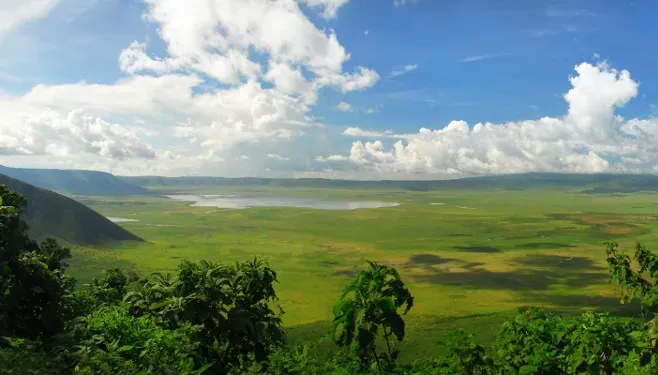 Africa Safari Karatu