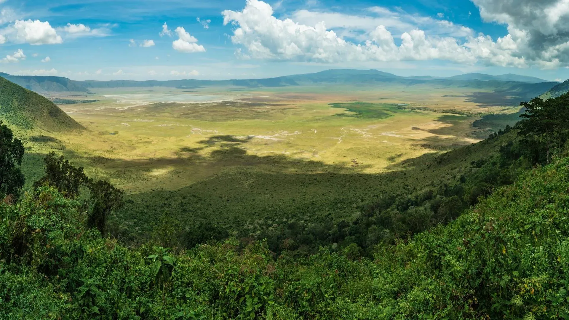 Ngorongoro Crater