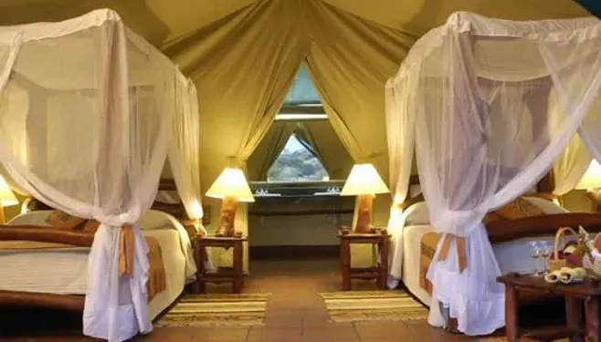 Luxury Safari