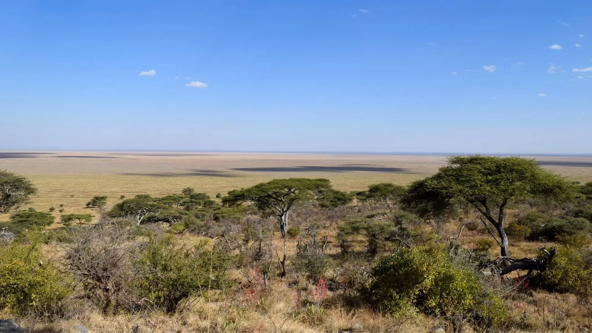 Ethiopia