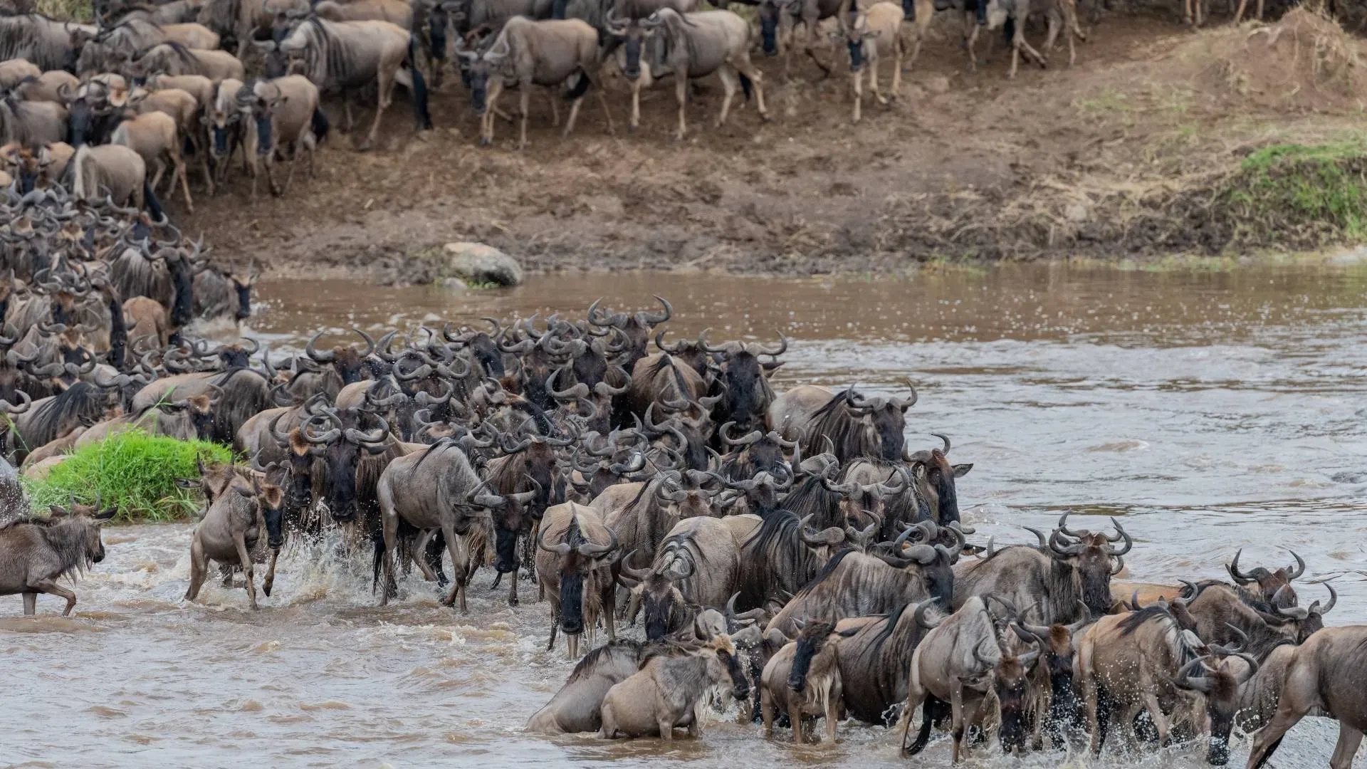 Kati Kati Tented Camp