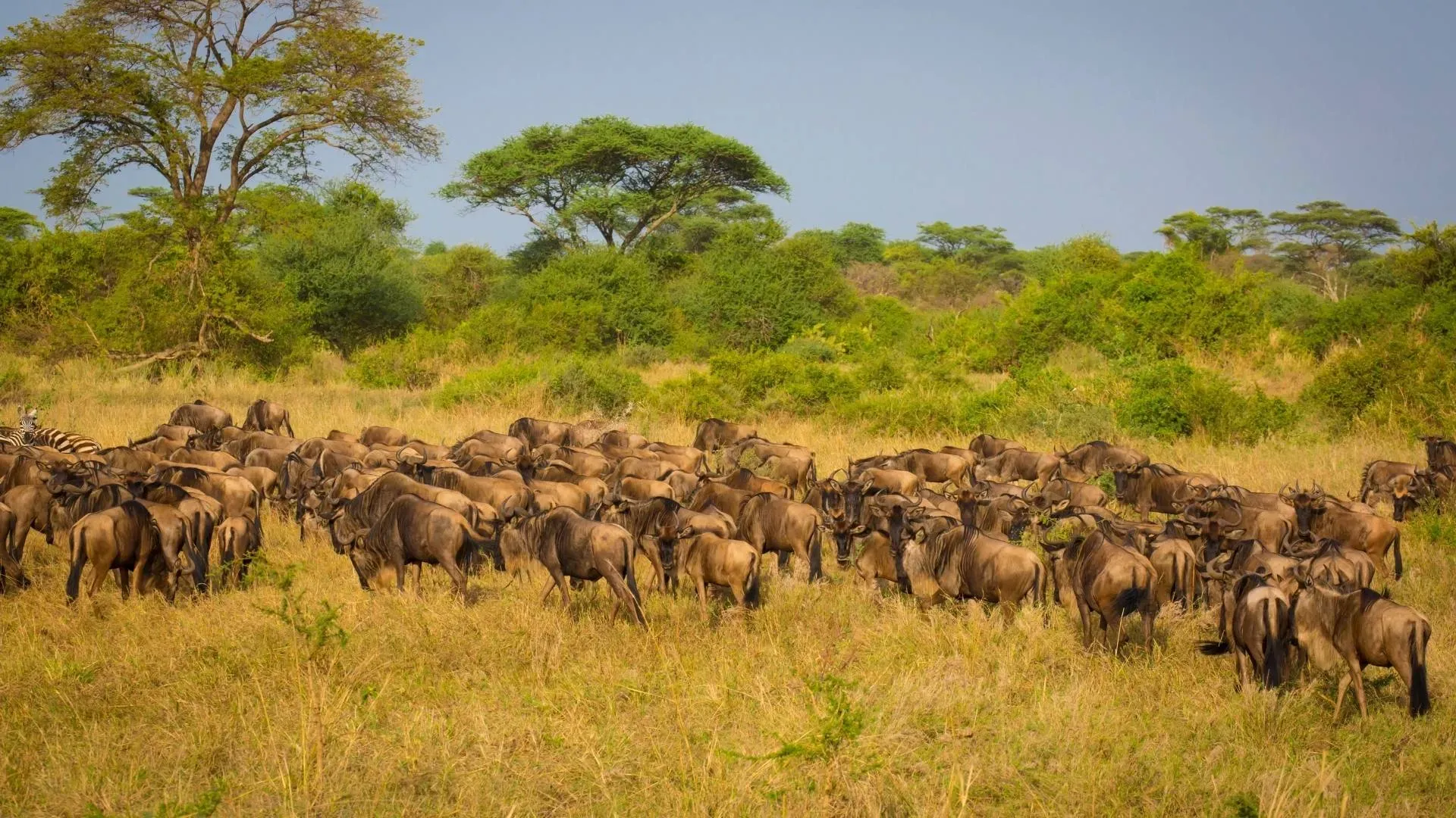 Kati Kati Tented Camp – 2