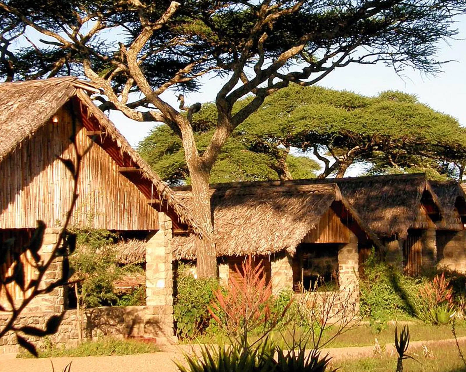Ndutu Safari Lodge