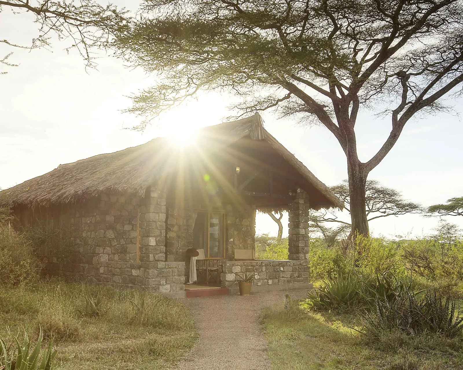 Ndutu Safari Lodge – 2