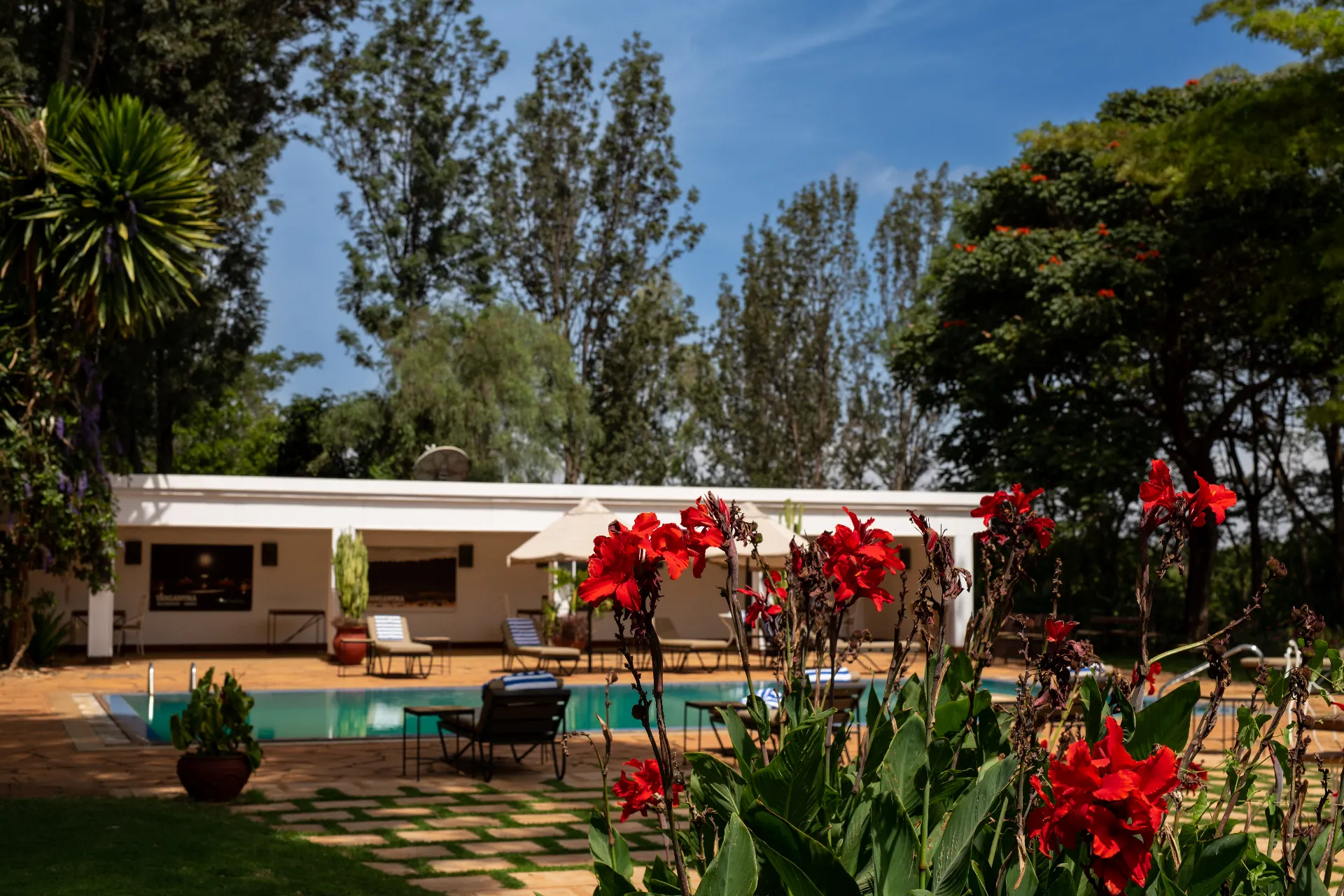 Ngorongoro Farm House – 2