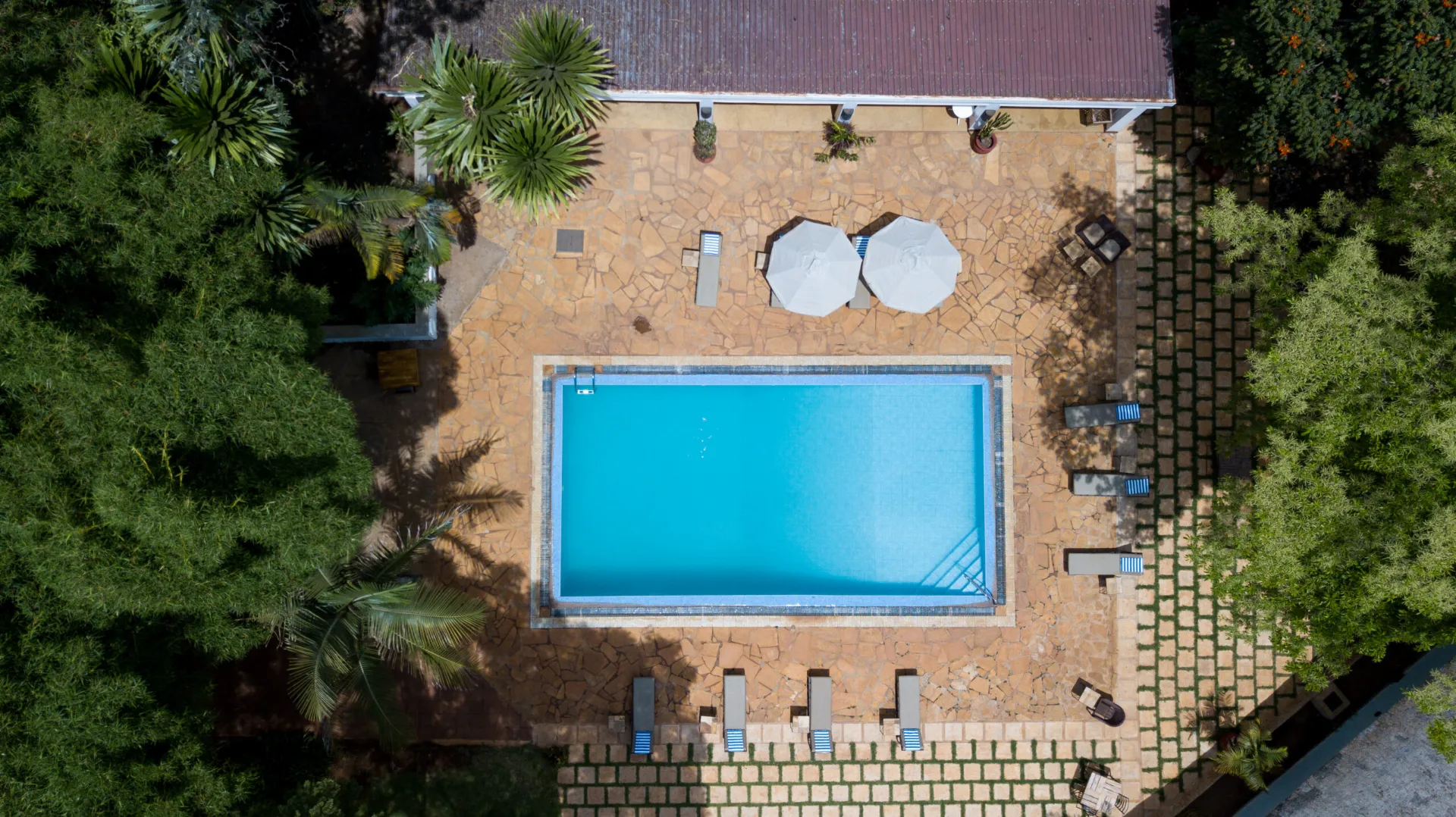 Ngorongoro Farm House – 3