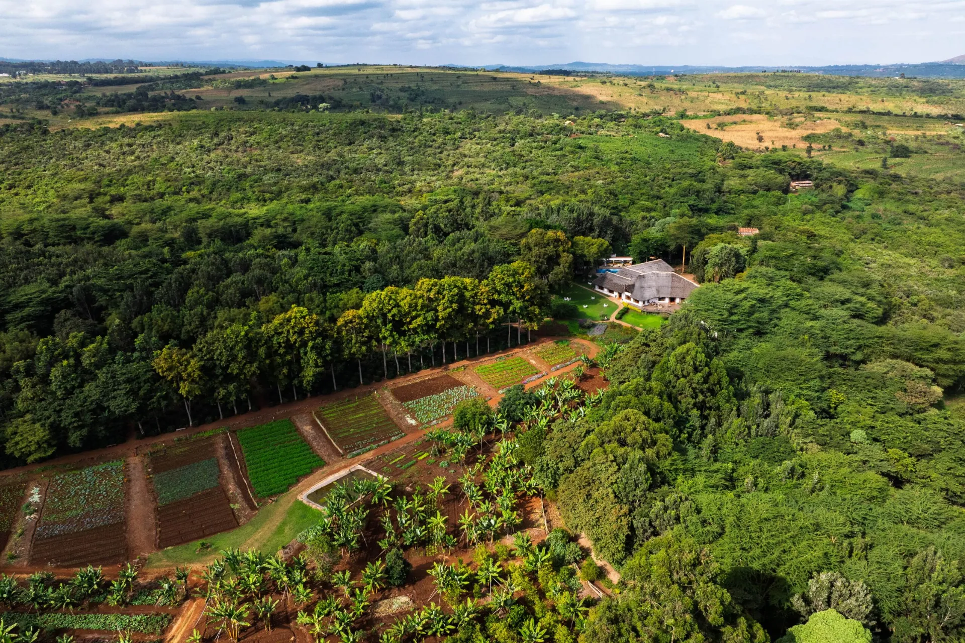 Ngorongoro Farm House – 4